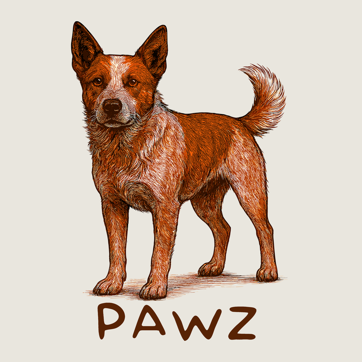 Red Heeler (Adult Hoodie)